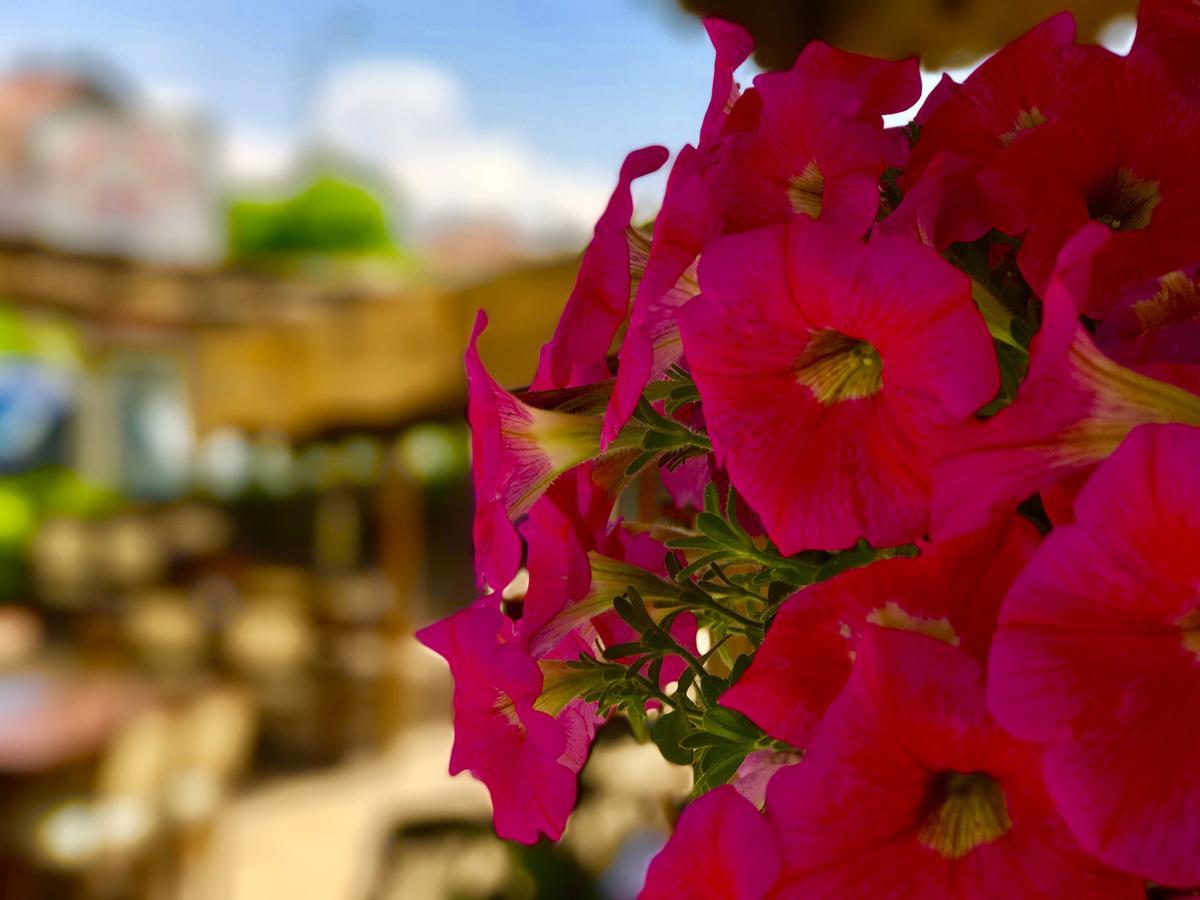 Nehir Apart Hotel Fethiye Zewnętrze zdjęcie